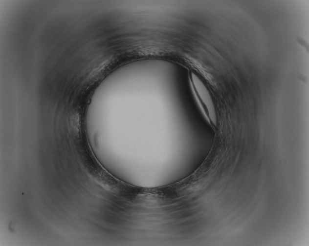 X0000090950211200708301147
