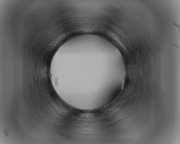 X0000090950212200708301147