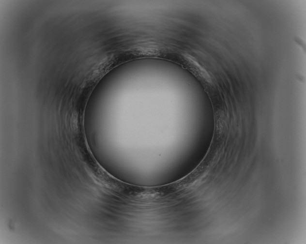 X0000090950213200708301147
