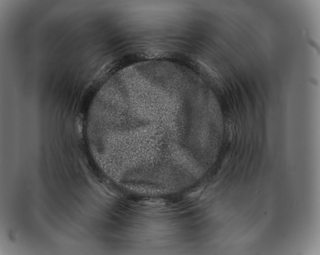 X0000090950214200708301147