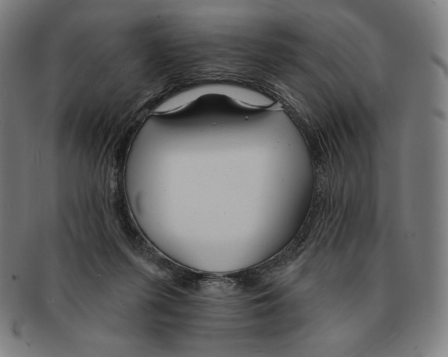 X0000090950215200708301147