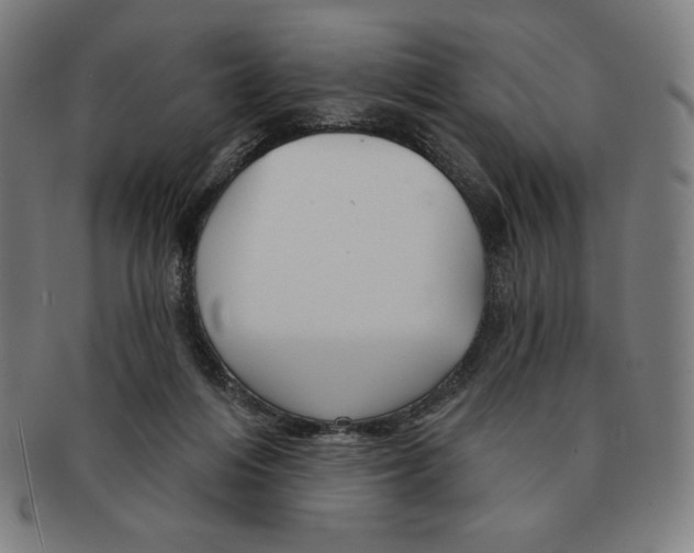 X0000090950216200708301147