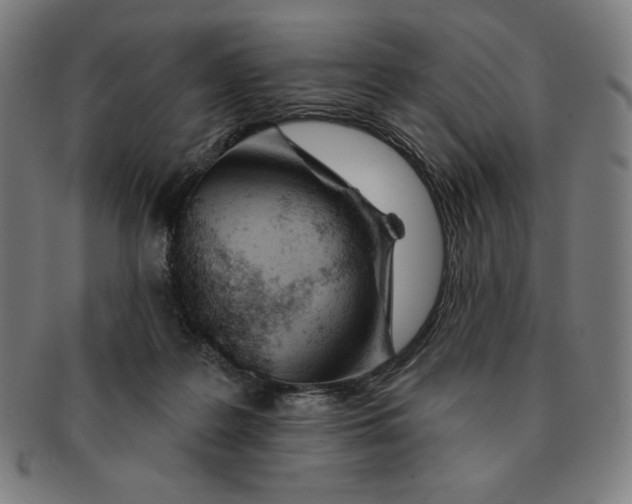 X0000090950219200708301147
