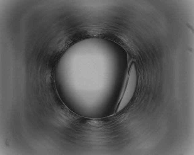 X0000090950221200708301147