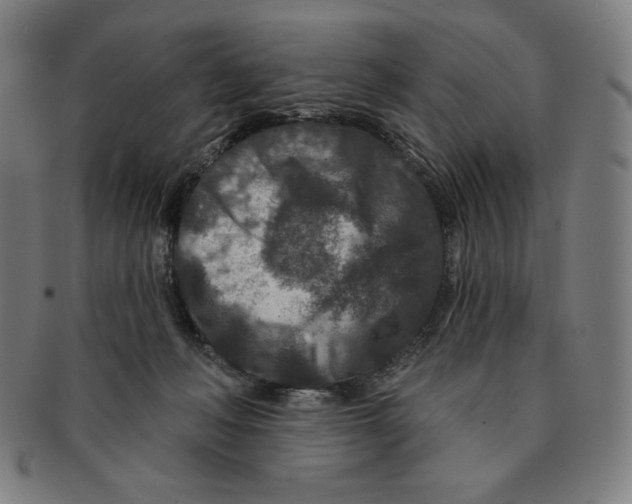 X0000090950222200708301147