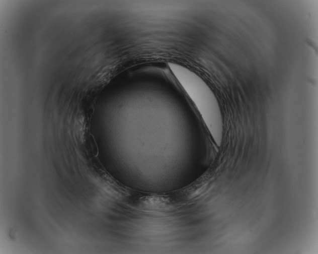 X0000090950223200708301147