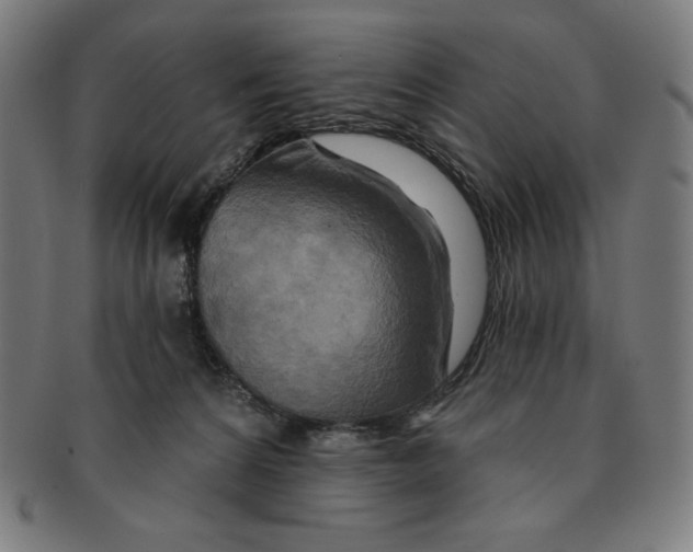X0000090950224200708301147