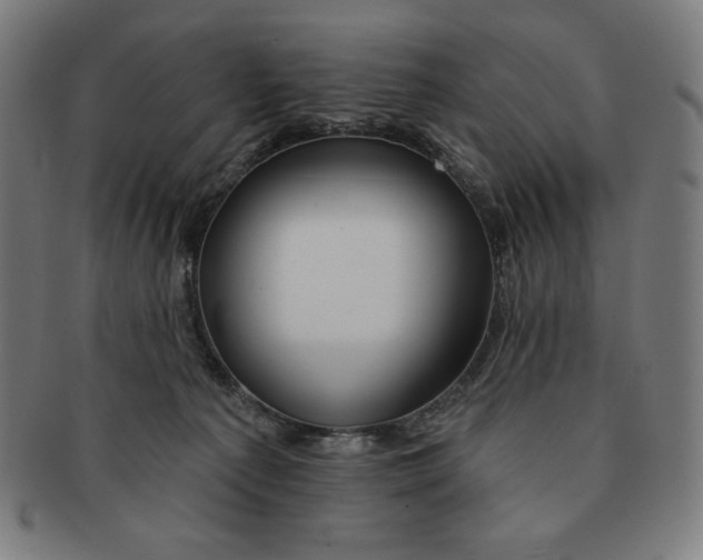 X0000090950225200708301147