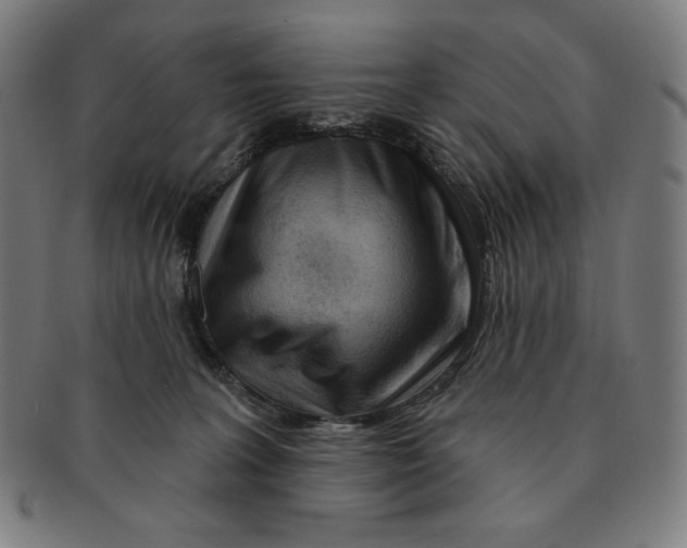 X0000090950227200708301147