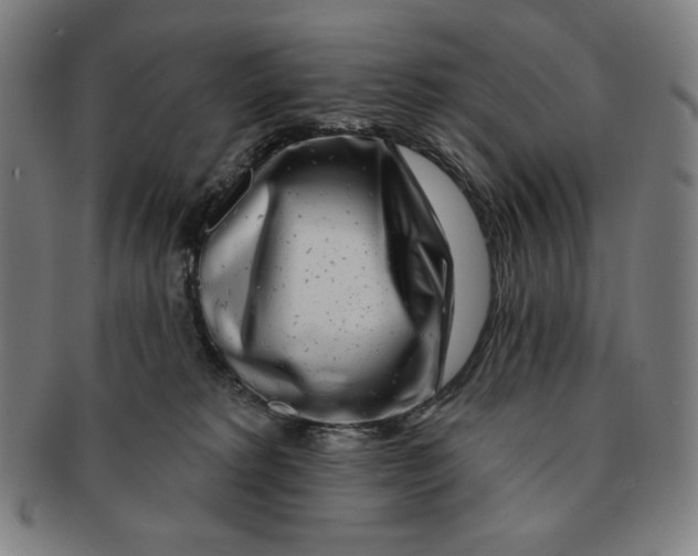 X0000090950229200708301147