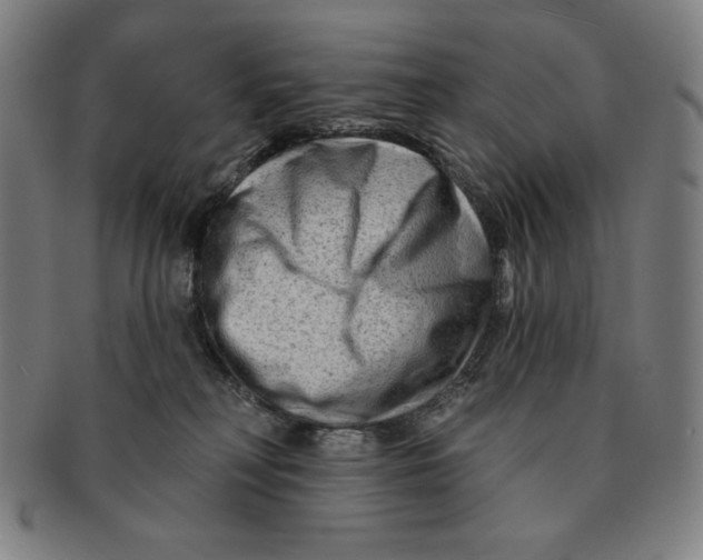 X0000090950230200708301147
