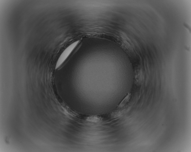 X0000090950231200708301147
