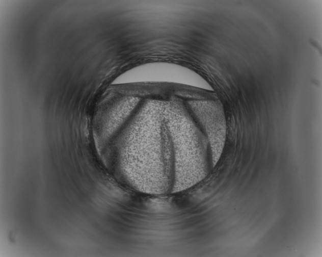 X0000090950232200708301147