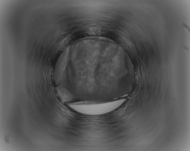 X0000090950233200708301147