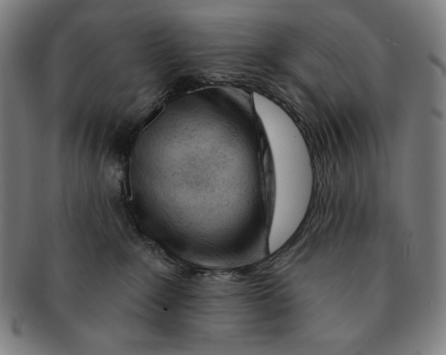 X0000090950235200708301147