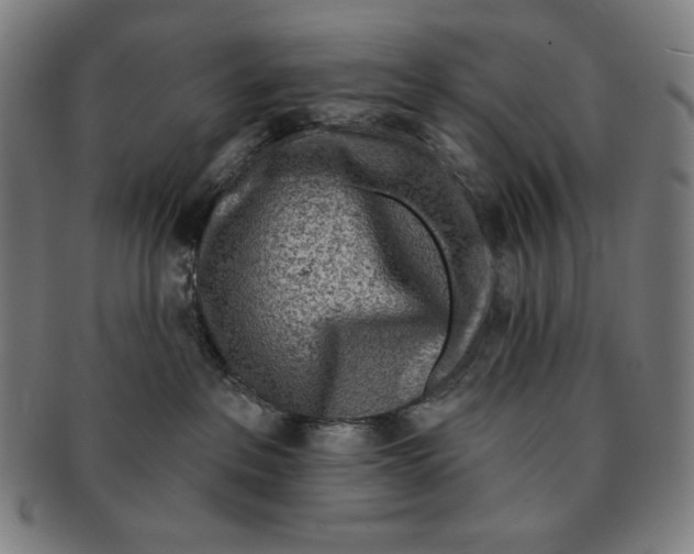X0000090950237200708301147
