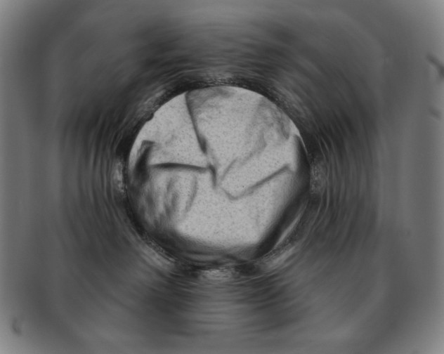 X0000090950238200708301147