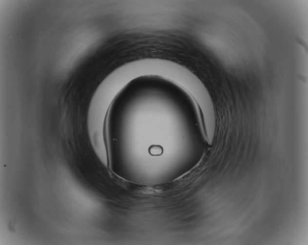 X0000090950239200708301147