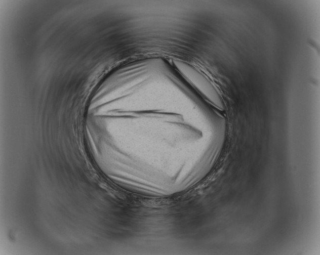 X0000090950241200708301146
