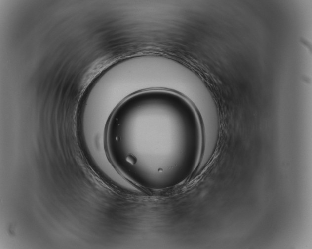 X0000090950242200708301146