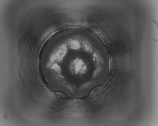 X0000090950243200708301146