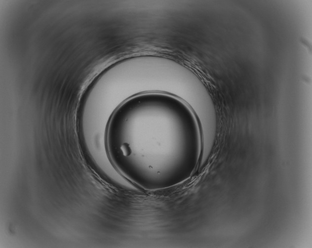 X0000090950244200708301146