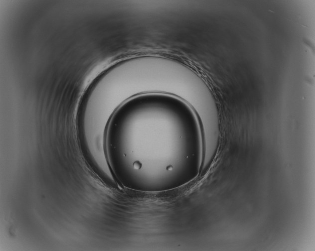 X0000090950246200708301146