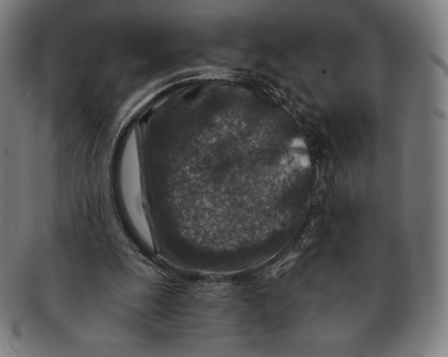 X0000090950247200708301146