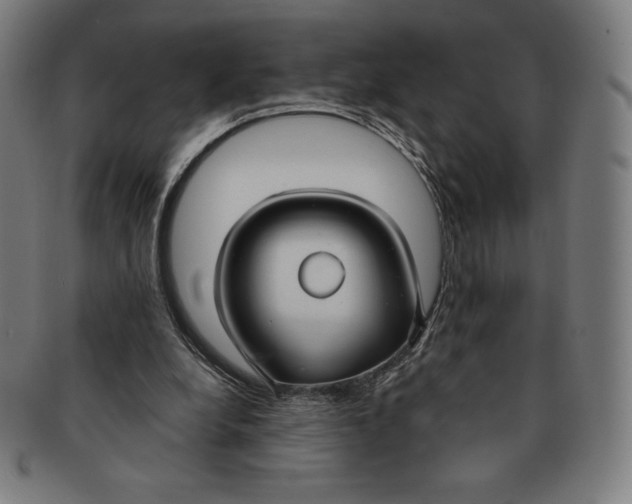 X0000090950248200708301146