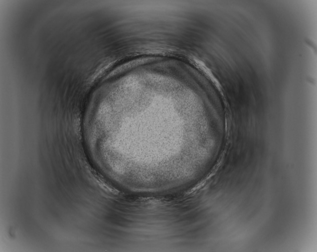 X0000090950249200708301146