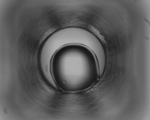 X0000090950250200708301146