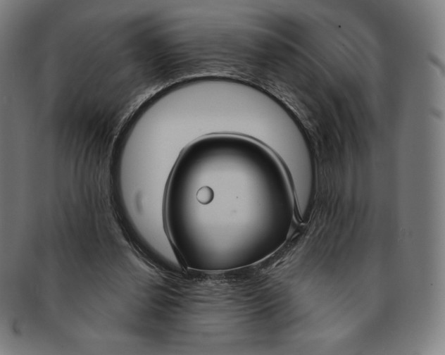 X0000090950252200708301146