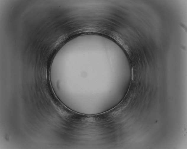 X0000090950253200708301146