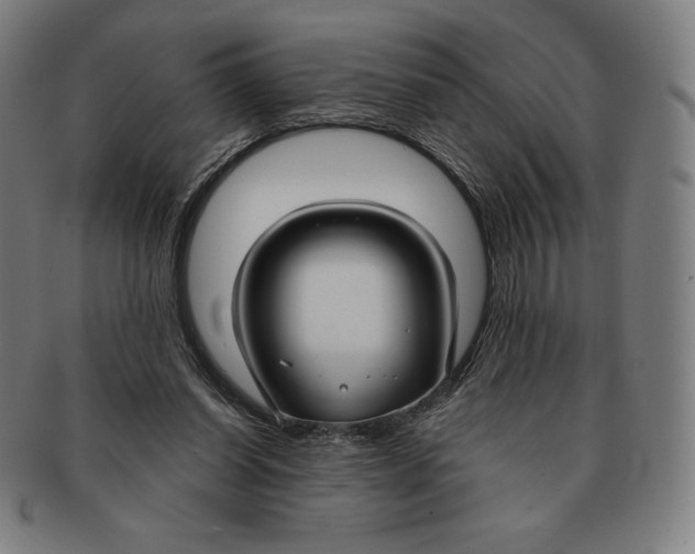 X0000090950254200708301146