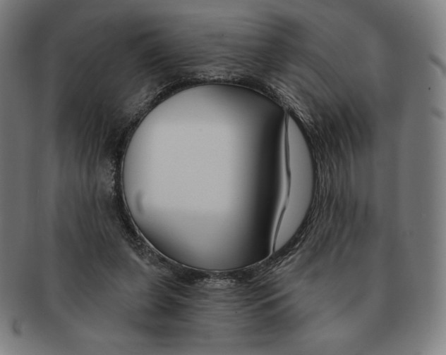 X0000090950255200708301146