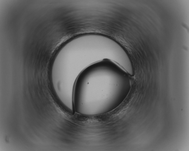 X0000090950256200708301146