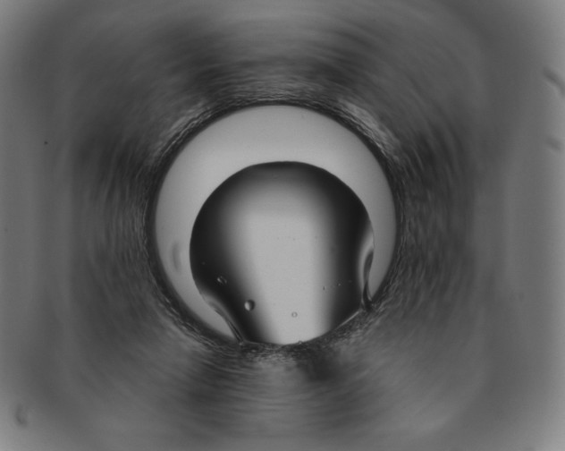 X0000090950258200708301146