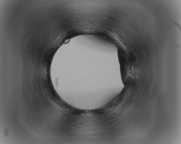 X0000090950259200708301146