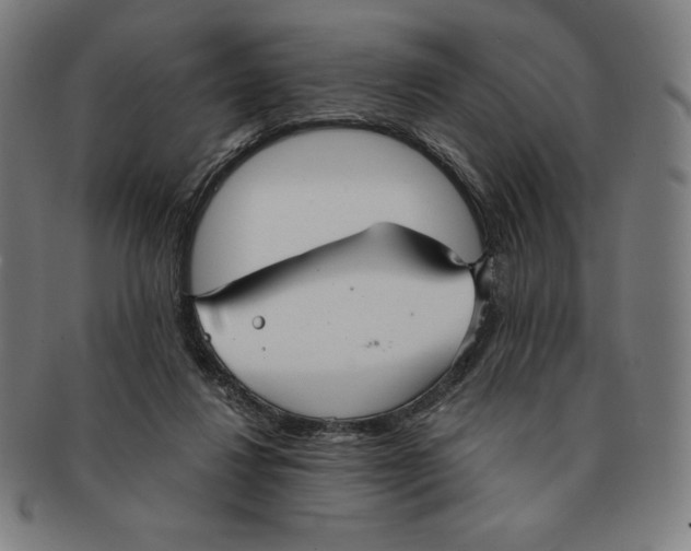 X0000090950260200708301146