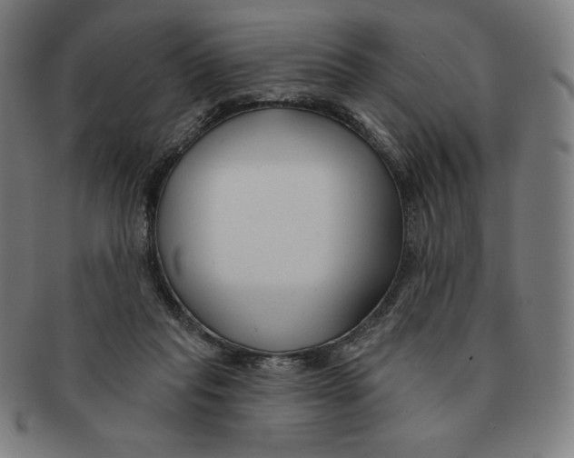 X0000090950261200708301146