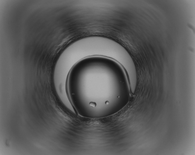X0000090950262200708301146