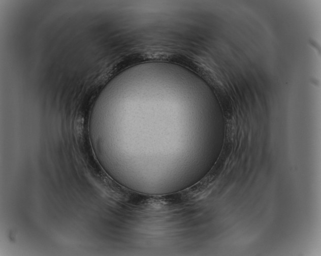 X0000090950263200708301146