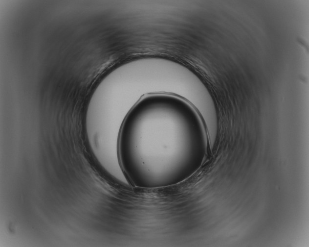 X0000090950264200708301146