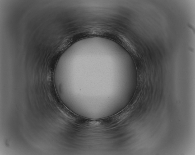 X0000090950265200708301146