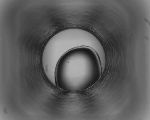 X0000090950268200708301146