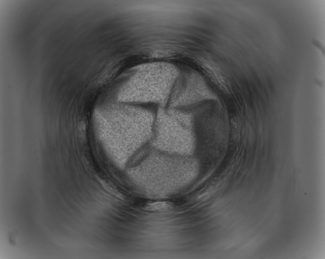 X0000090950269200708301146