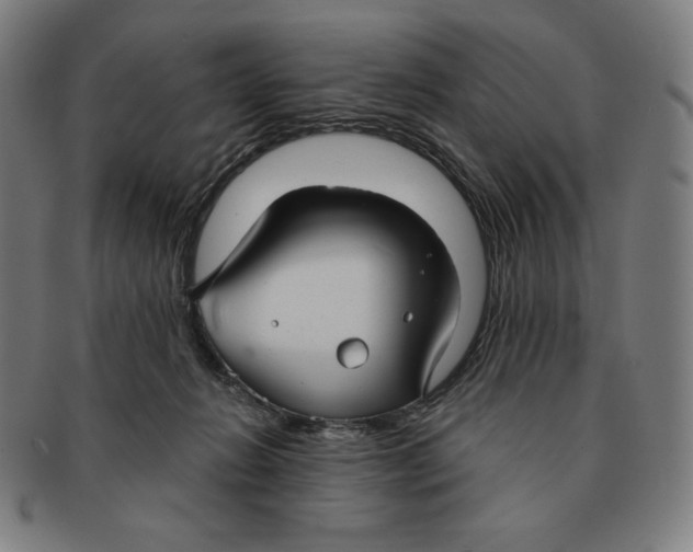 X0000090950270200708301146