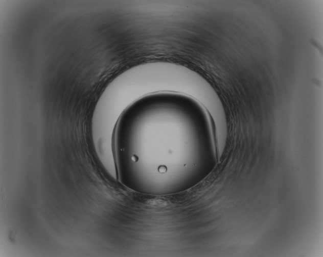 X0000090950272200708301146