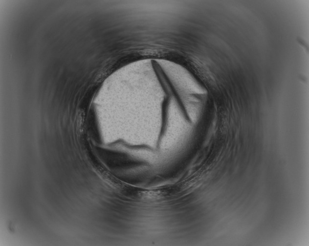 X0000090950273200708301146