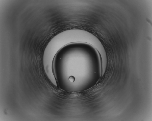 X0000090950274200708301146
